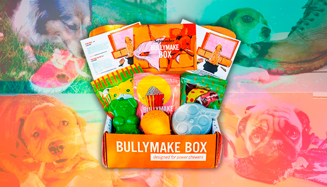 Why dog parents are snapping up this subscription box loaded with